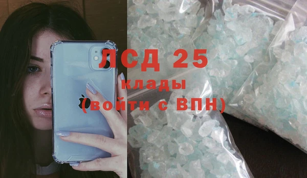 ПСИЛОЦИБИНОВЫЕ ГРИБЫ Арсеньев