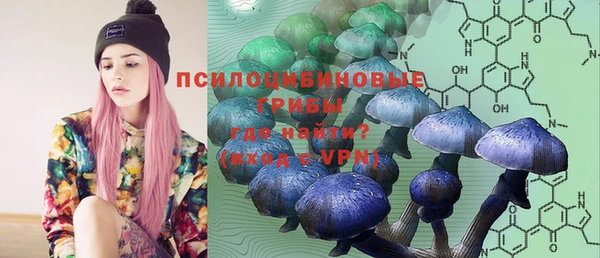 MESCALINE Аркадак