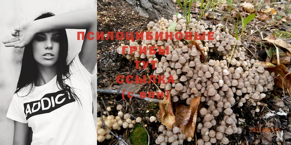 MESCALINE Аркадак