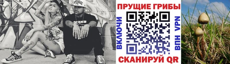 купить закладку  Нефтегорск  Псилоцибиновые грибы GOLDEN TEACHER 